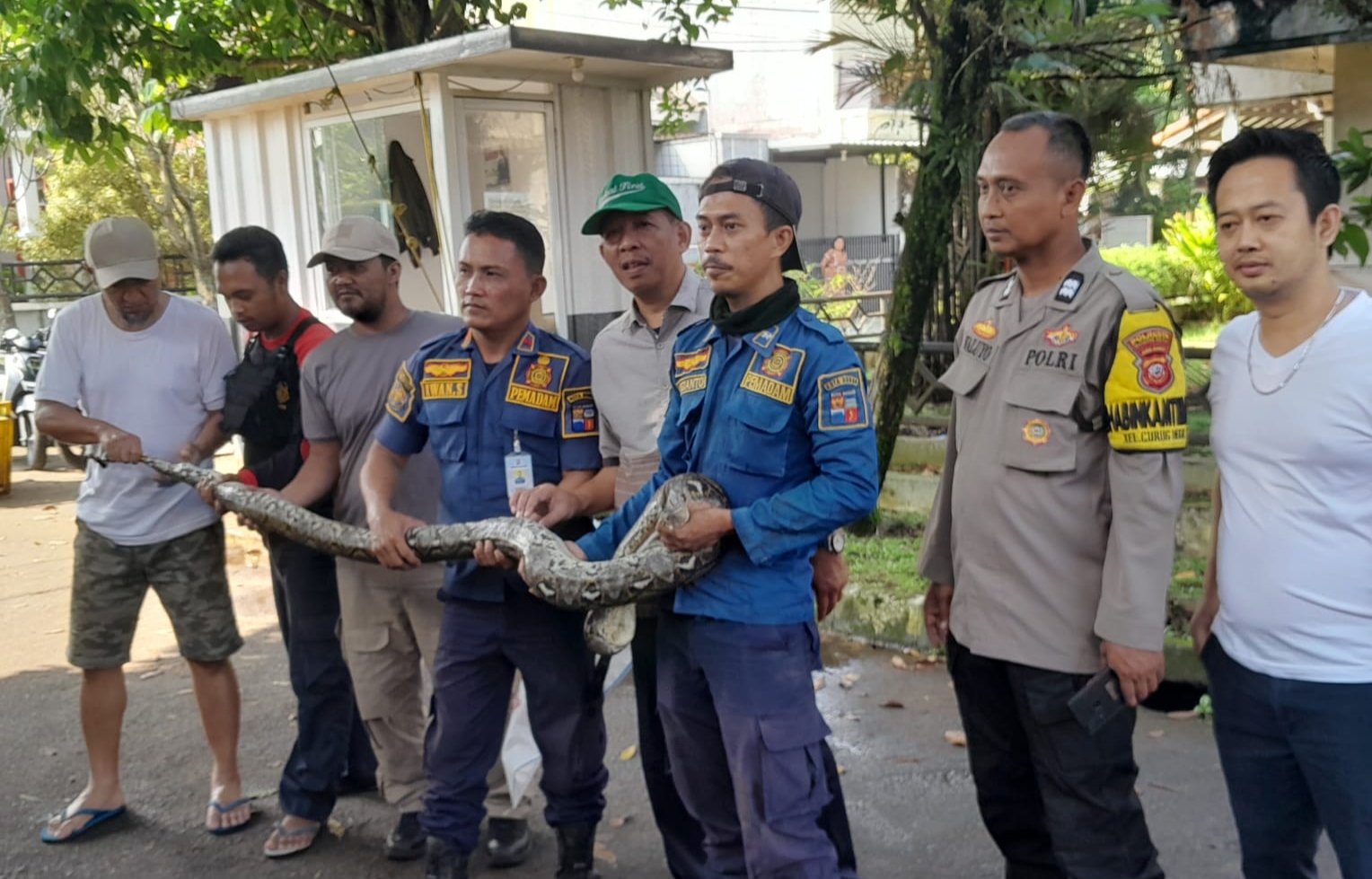 DAMKAR KOTA BOGOR BERHASIL MENGEVAKUASI ULAR BERUKURAN BESAR